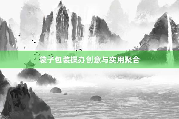袋子包装操办创意与实用聚合